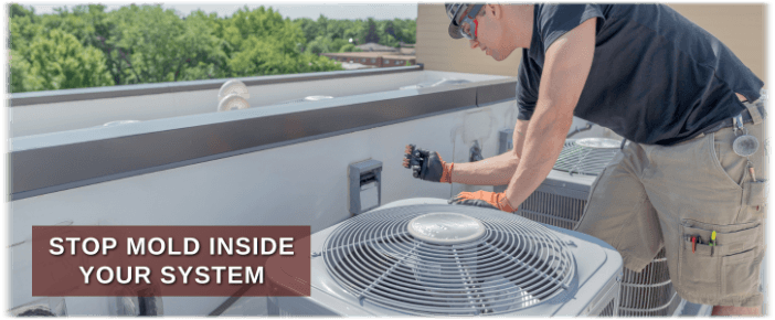 HVAC Mold Removal Montgomery IL